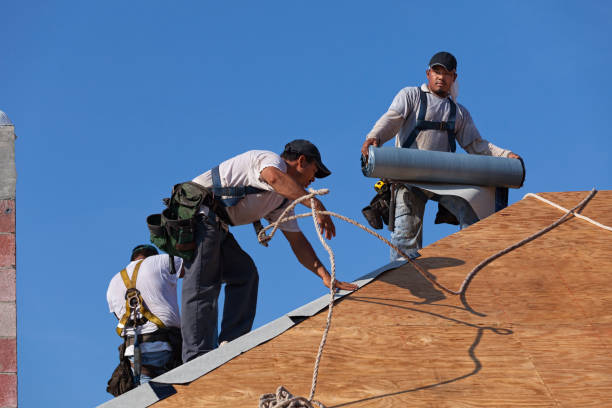 Trusted La Plata, MO Roofing Contractor Experts