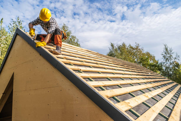 Best Storm Damage Roof Repair  in La Plata, MO