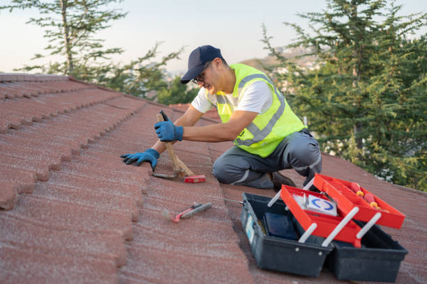 Best Metal Roofing Contractor  in La Plata, MO