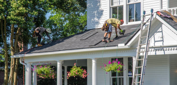 Roof Gutter Cleaning in La Plata, MO