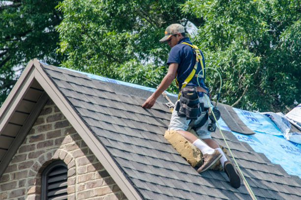 Quick and Trustworthy Emergency Roof Repair Services in La Plata, MO